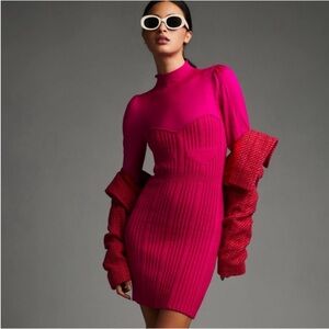 NWT Anthropologie turtleneck dress❤️❤️❤️❤️